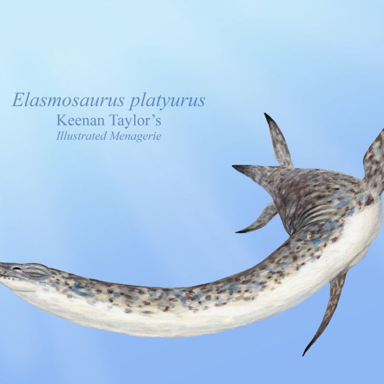 Keajaiban Laut - Mengenal Elasmosaurus, Pemakan Daging Buas dengan Leher Panjang