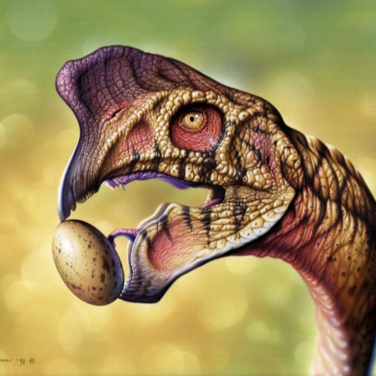 Temukan Keunikan Oviraptor: Si Burung Dinosaurus yang Menarik Perhatian