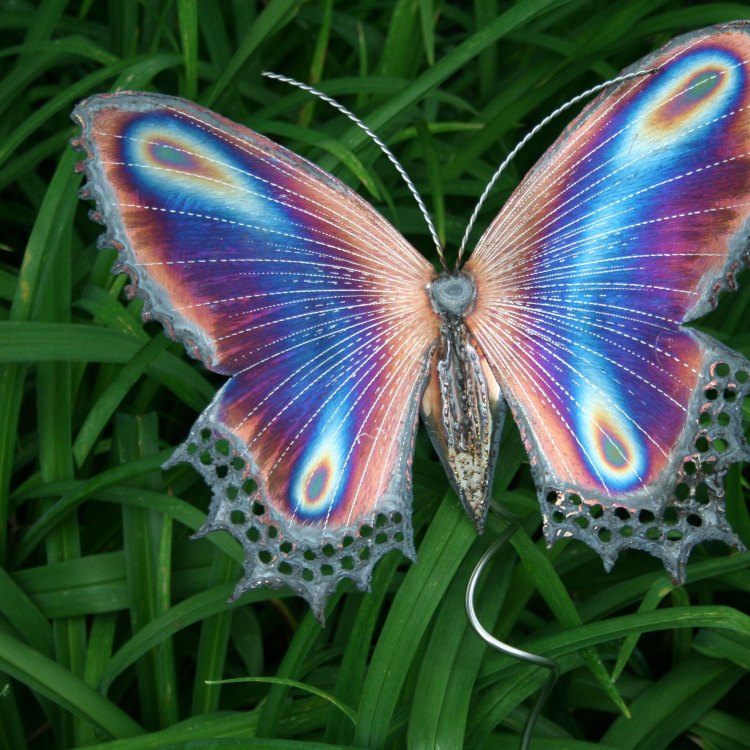 Pesona dan Keunikan Kupu-kupu: Semua yang Perlu Anda Ketahui tentang Hewan Cantik ini