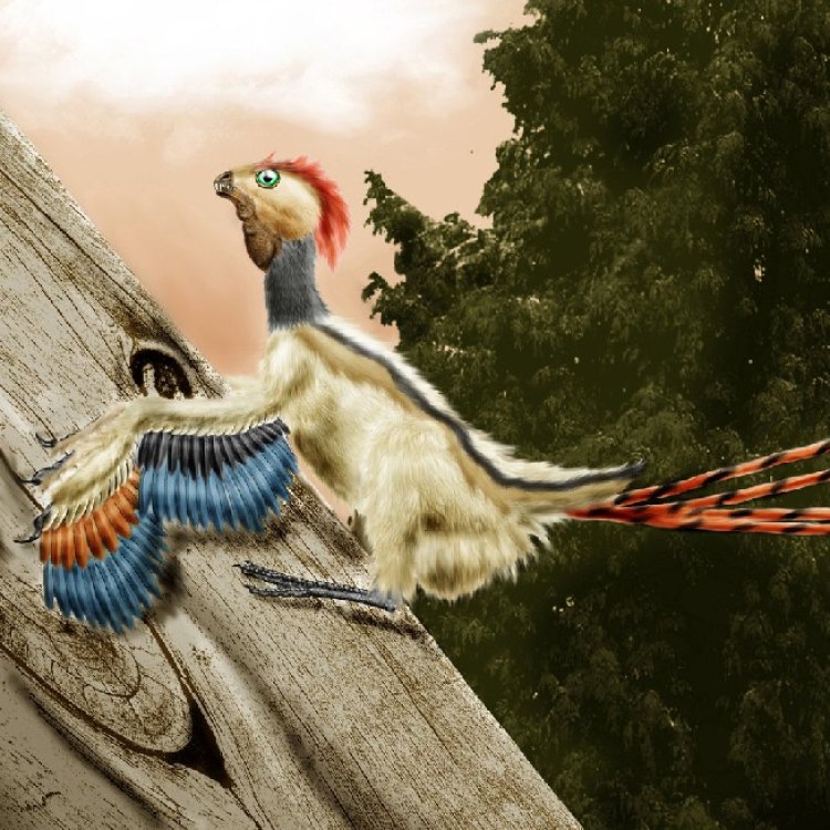 Mengenal Epidexipteryx, Hewan Pernik Mati Semua Berbulu