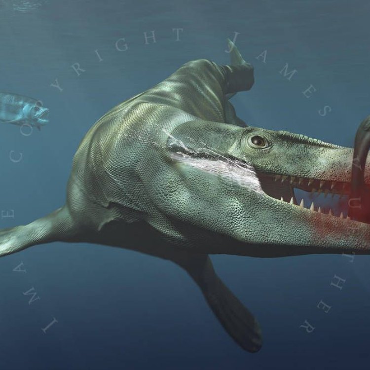 Tylosaurus: Hewan Carnivora Laut yang Mengagumkan
