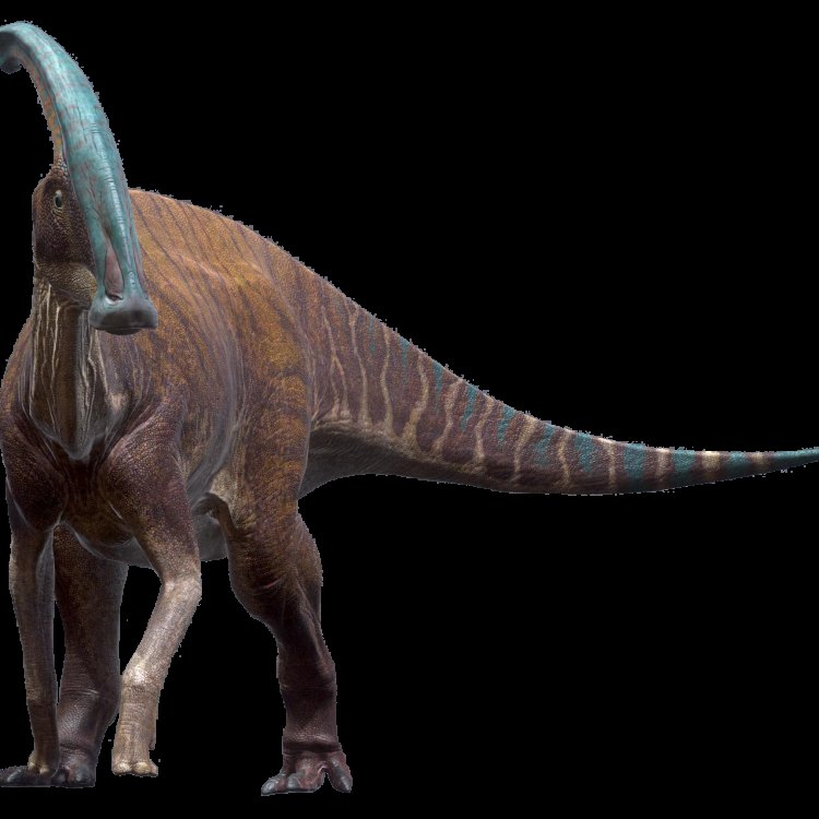 Parasaurolophus: Mengenal Hewan yang Menarik dari Masa Prasejarah