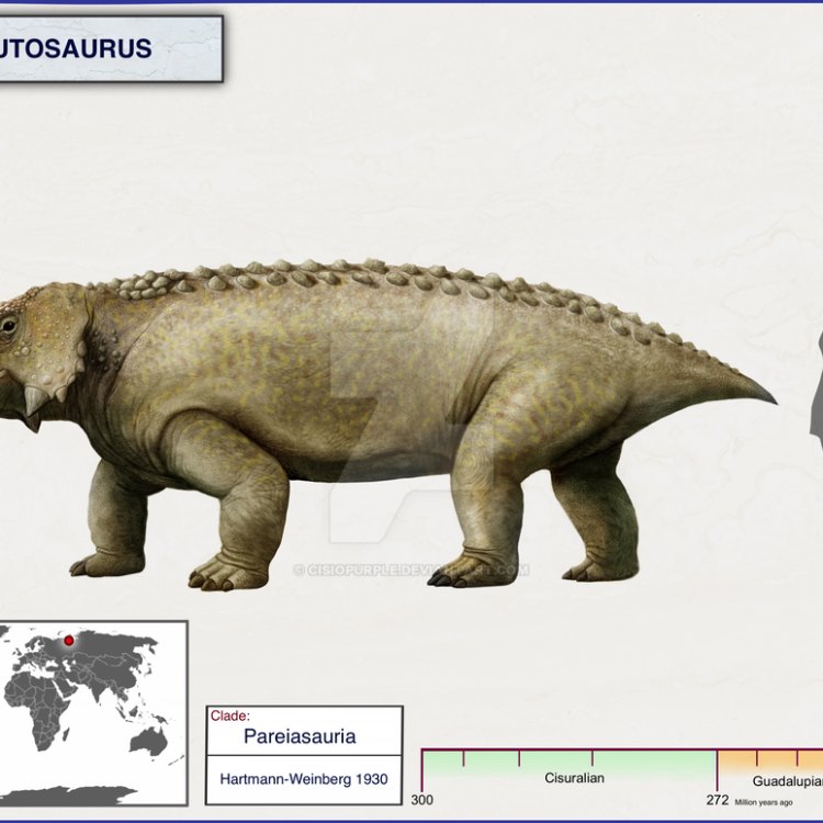 Scutosaurus: Hewan Herbivora Terbesar dari Era Permian