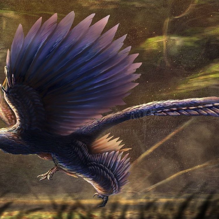 Microraptor, Hewan Pemakan Daging yang Menakjubkan