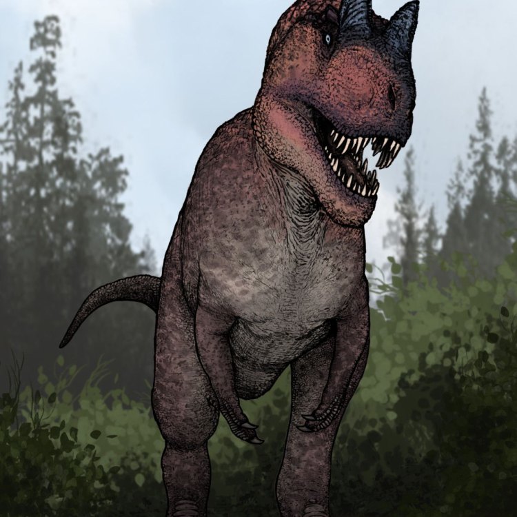 Ceratosaurus: Reptil Carnivora yang Kuat dan Misterius