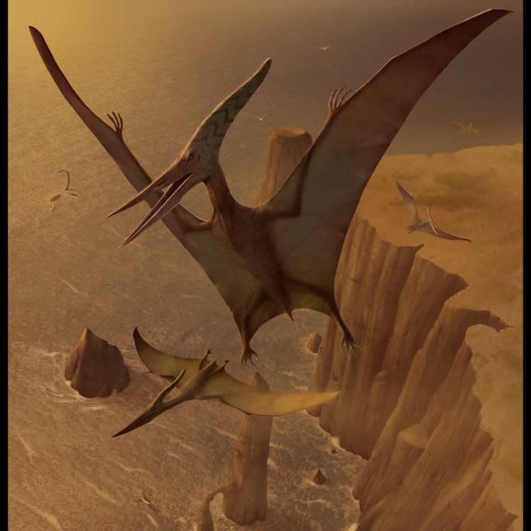 Pteranodon: Makhluk Langka yang Mengagumkan di Coastal Regions