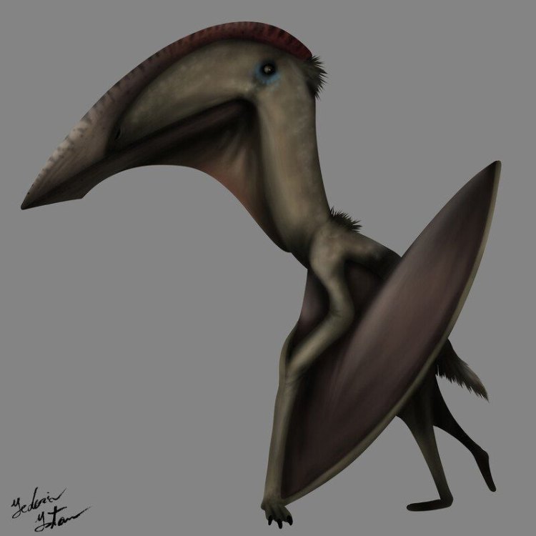 Hatzegopteryx: Pterosaurus yang besar, unik dan misterius