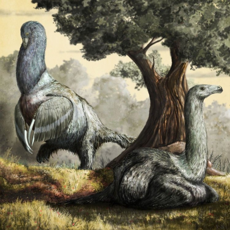 Therizinosaurus: Dinosaurus Herbivora Terbesar di Asia