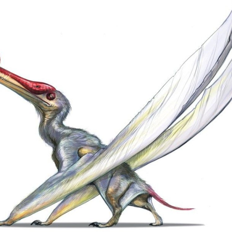 Ornithocheirus: Terbang Tinggi di Lautan Abad Cretaceous