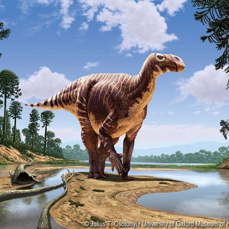 Mengenal Iguanodon: Hewan Purba yang Terkenal dengan Ciri Khasnya yang Menarik