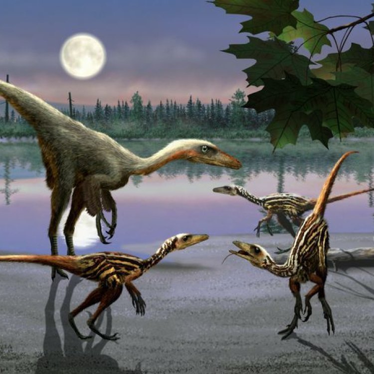Hewan yang Misterius dan Cerdas, Troodon - Waktunya Mengenal Lebih Dekat