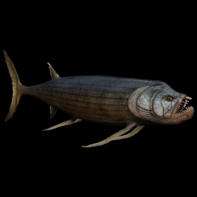 Misteri Xiphactinus: Rahasia Ikan Raksasa dari Laut yang Mengejutkan Dunia
