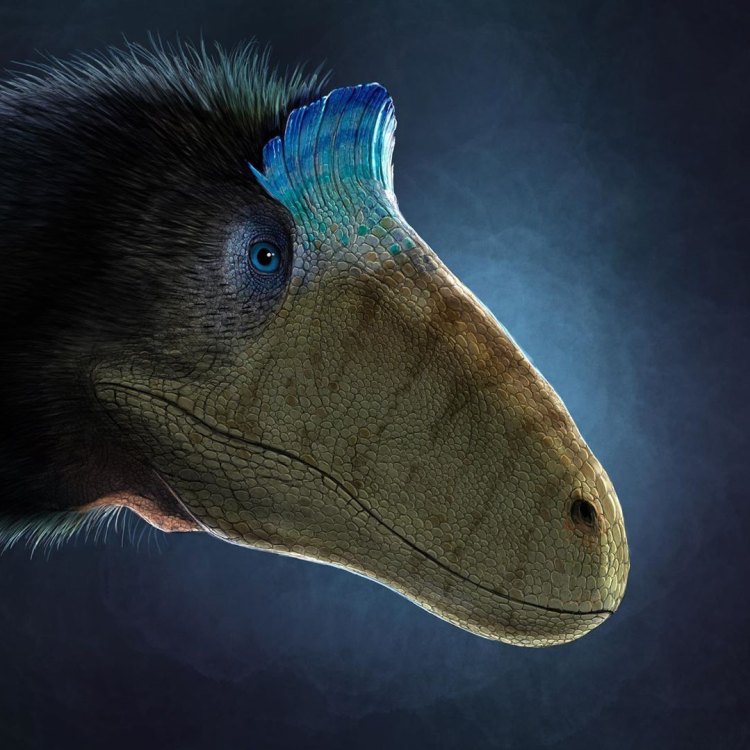 Cryolophosaurus: Dinosaurus Menakjubkan yang Hidup di Lembah Beku