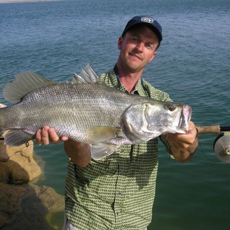 Nile Perch: Ikan Predator dari Afrika yang Mempesona