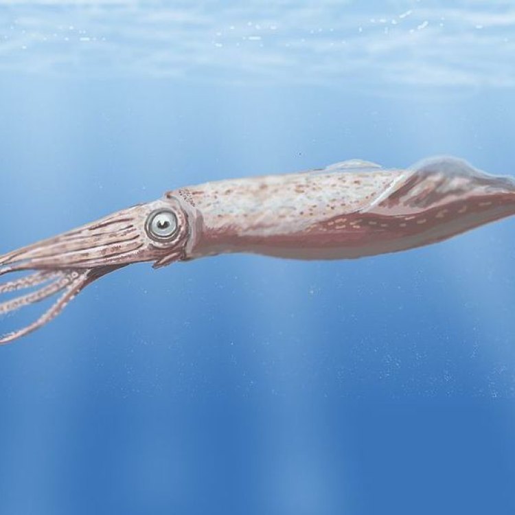 Tusoteuthis: Cephalopoda yang Menakutkan di Lautan
