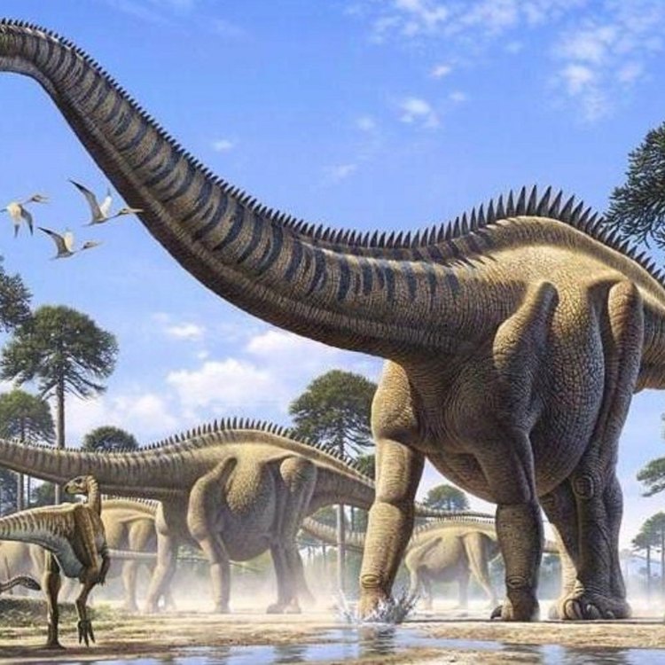 Supersaurus: Dinosaurus Terbesar yang Pernah Hidup